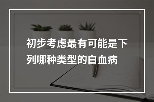 初步考虑最有可能是下列哪种类型的白血病