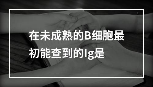 在未成熟的B细胞最初能查到的Ig是