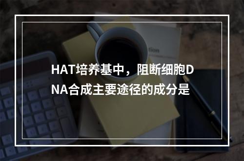 HAT培养基中，阻断细胞DNA合成主要途径的成分是