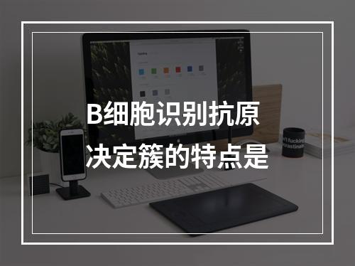 B细胞识别抗原决定簇的特点是