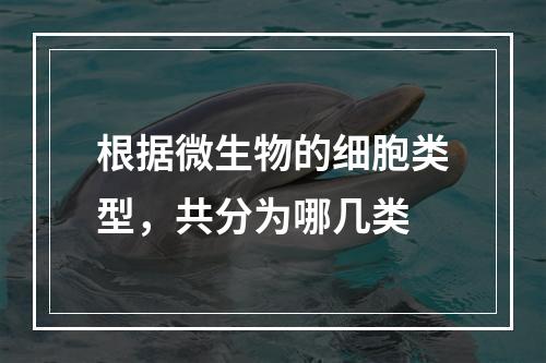 根据微生物的细胞类型，共分为哪几类