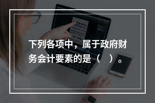 下列各项中，属于政府财务会计要素的是（　）。