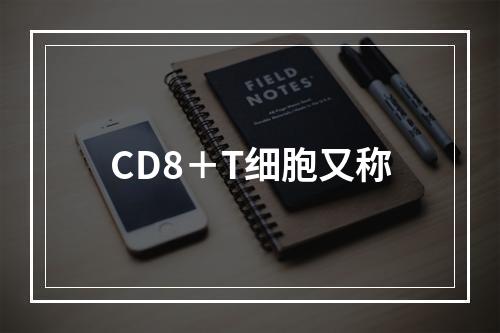 CD8＋T细胞又称