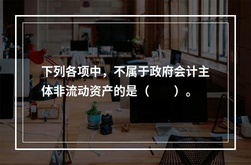 下列各项中，不属于政府会计主体非流动资产的是（　　）。