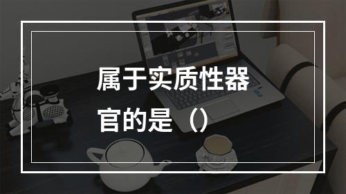 属于实质性器官的是（）