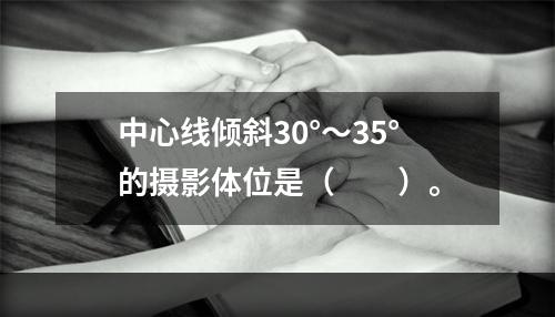 中心线倾斜30°～35°的摄影体位是（　　）。