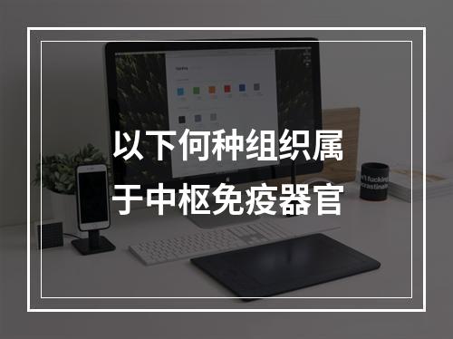 以下何种组织属于中枢免疫器官