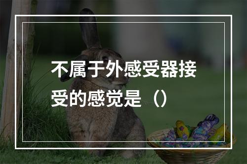 不属于外感受器接受的感觉是（）