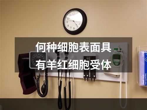 何种细胞表面具有羊红细胞受体