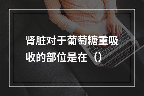 肾脏对于葡萄糖重吸收的部位是在（）