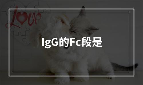 IgG的Fc段是