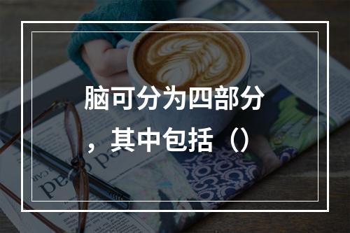 脑可分为四部分，其中包括（）