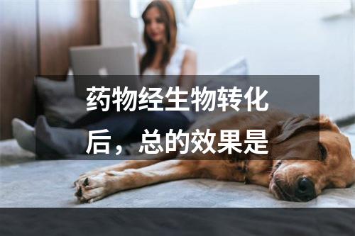 药物经生物转化后，总的效果是