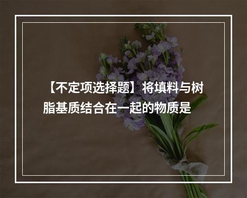 【不定项选择题】将填料与树脂基质结合在一起的物质是