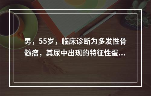 男，55岁，临床诊断为多发性骨髓瘤，其尿中出现的特征性蛋白是