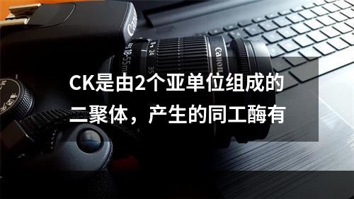 CK是由2个亚单位组成的二聚体，产生的同工酶有