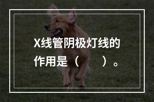 X线管阴极灯线的作用是（　　）。