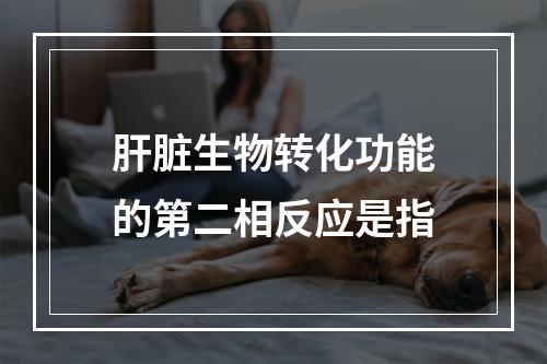 肝脏生物转化功能的第二相反应是指