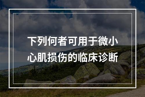 下列何者可用于微小心肌损伤的临床诊断