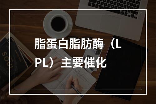 脂蛋白脂肪酶（LPL）主要催化