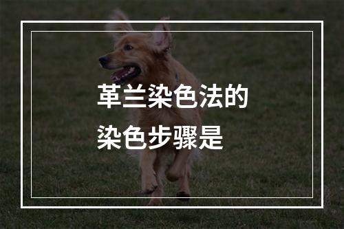 革兰染色法的染色步骤是