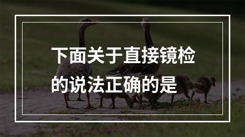 下面关于直接镜检的说法正确的是