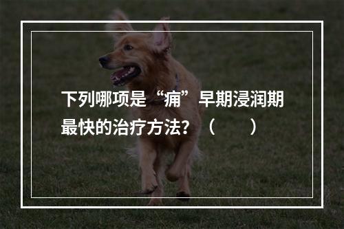 下列哪项是“痈”早期浸润期最快的治疗方法？（　　）