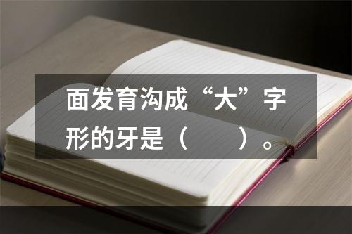 面发育沟成“大”字形的牙是（　　）。