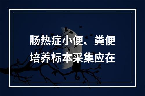 肠热症小便、粪便培养标本采集应在