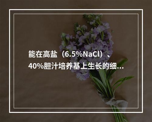 能在高盐（6.5%NaCl）、40%胆汁培养基上生长的细菌是