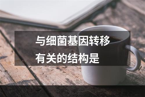 与细菌基因转移有关的结构是