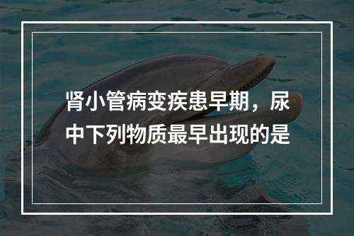 肾小管病变疾患早期，尿中下列物质最早出现的是