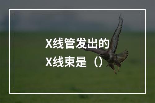 X线管发出的X线束是（）