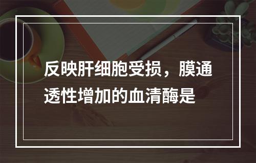 反映肝细胞受损，膜通透性增加的血清酶是