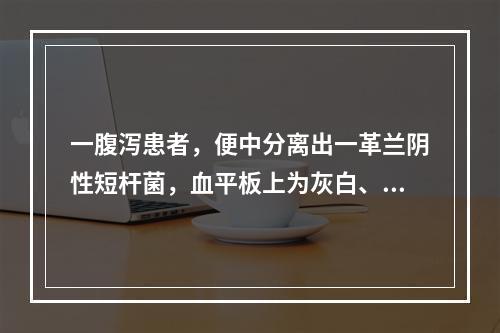 一腹泻患者，便中分离出一革兰阴性短杆菌，血平板上为灰白、光滑