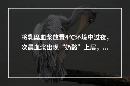 将乳糜血浆放置4℃环境中过夜，次晨血浆出现“奶酪”上层，说明