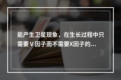 能产生卫星现象，在生长过程中只需要Ⅴ因子而不需要X因子的是