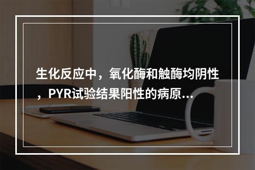 生化反应中，氧化酶和触酶均阴性，PYR试验结果阳性的病原体是