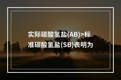 实际碳酸氢盐(AB)>标准碳酸氢盐(SB)表明为