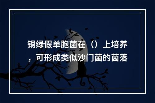 铜绿假单胞菌在（）上培养，可形成类似沙门菌的菌落