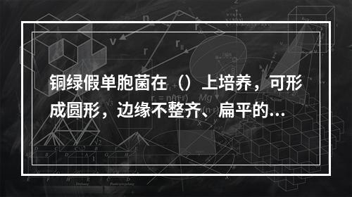 铜绿假单胞菌在（）上培养，可形成圆形，边缘不整齐、扁平的菌落