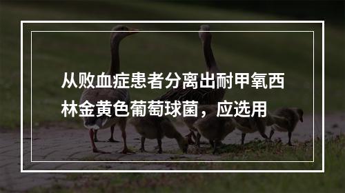 从败血症患者分离出耐甲氧西林金黄色葡萄球菌，应选用