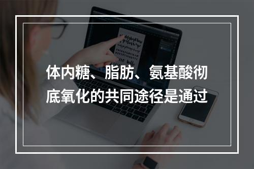 体内糖、脂肪、氨基酸彻底氧化的共同途径是通过