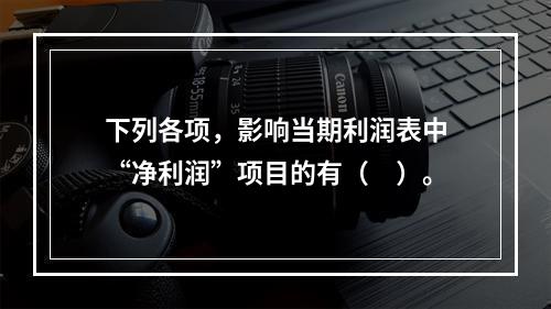 下列各项，影响当期利润表中“净利润”项目的有（　）。