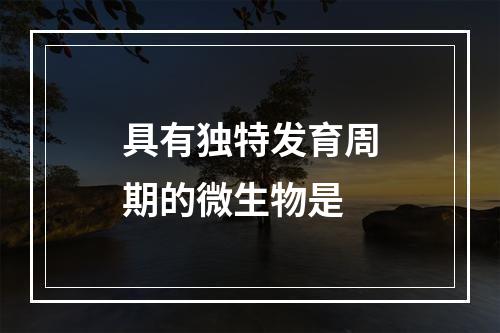 具有独特发育周期的微生物是