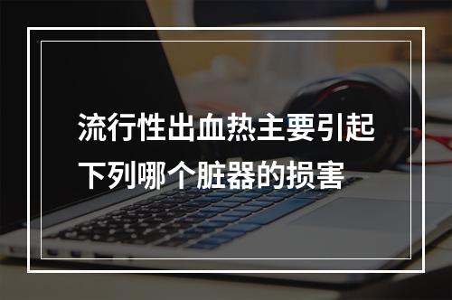 流行性出血热主要引起下列哪个脏器的损害