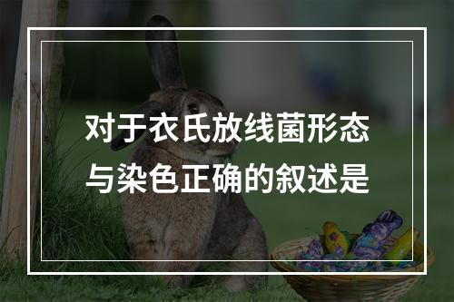 对于衣氏放线菌形态与染色正确的叙述是