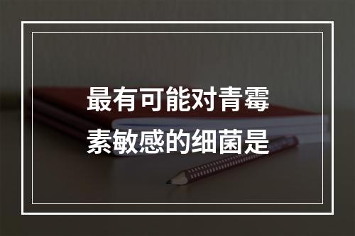 最有可能对青霉素敏感的细菌是