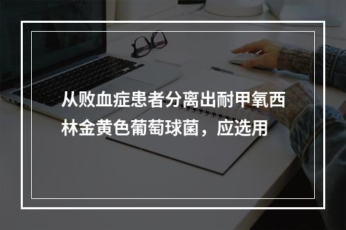 从败血症患者分离出耐甲氧西林金黄色葡萄球菌，应选用