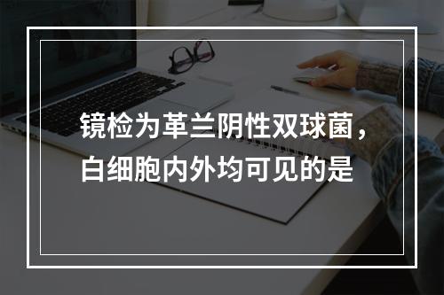 镜检为革兰阴性双球菌，白细胞内外均可见的是